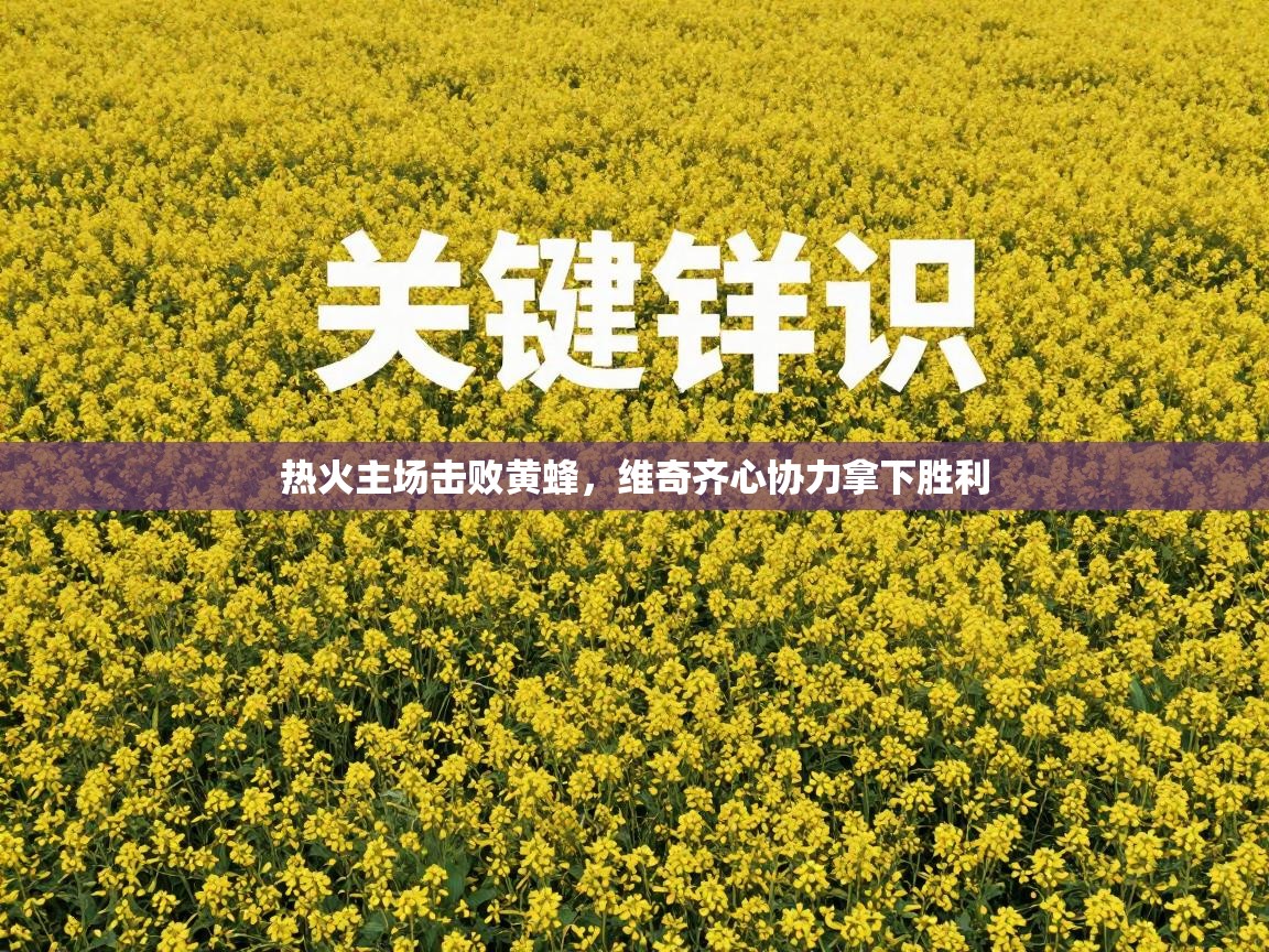 热火主场击败黄蜂，维奇齐心协力拿下胜利