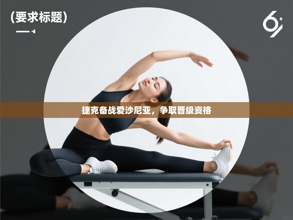 捷克备战爱沙尼亚，争取晋级资格