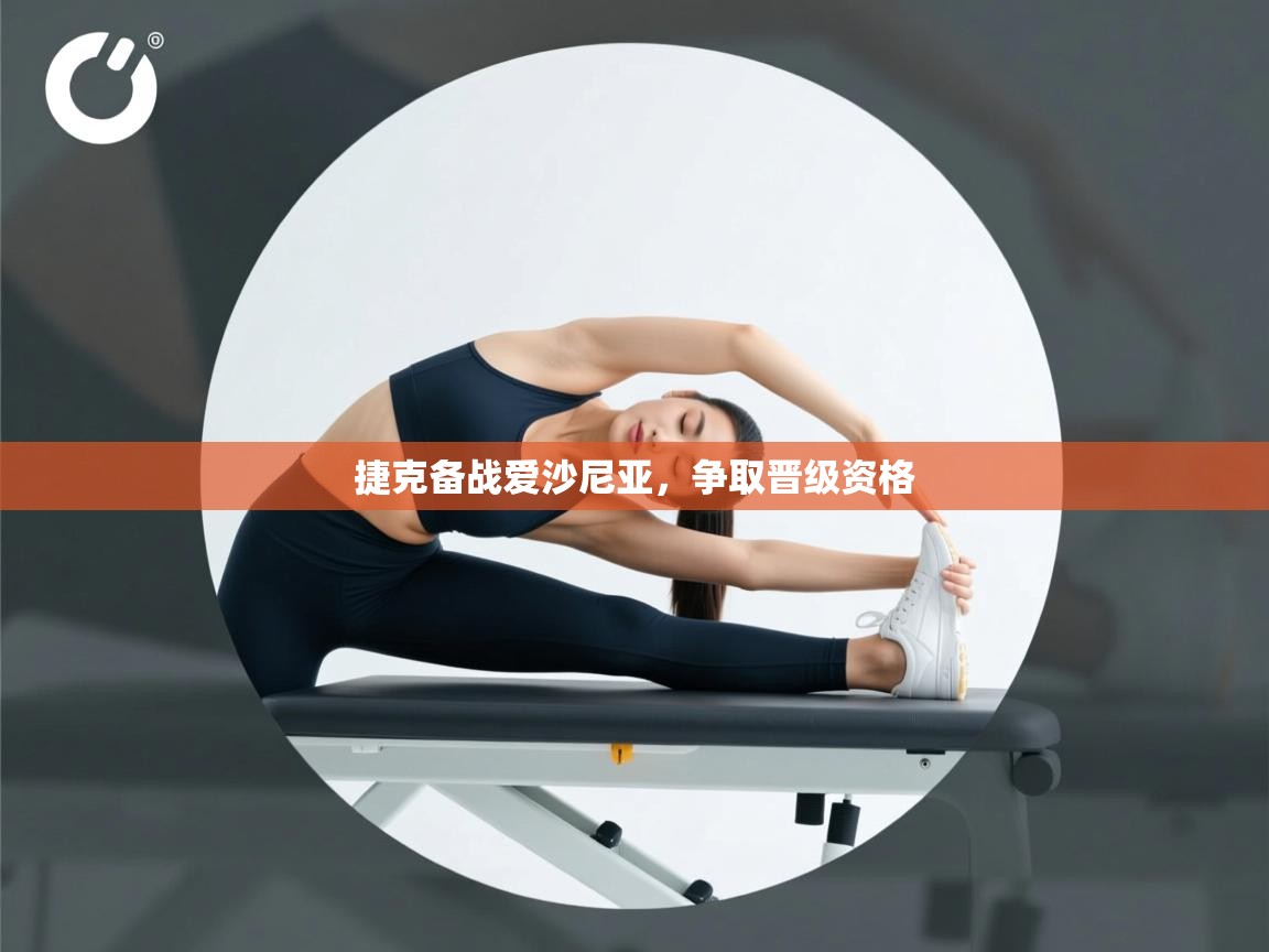 捷克备战爱沙尼亚,争取晋级资格 第2张