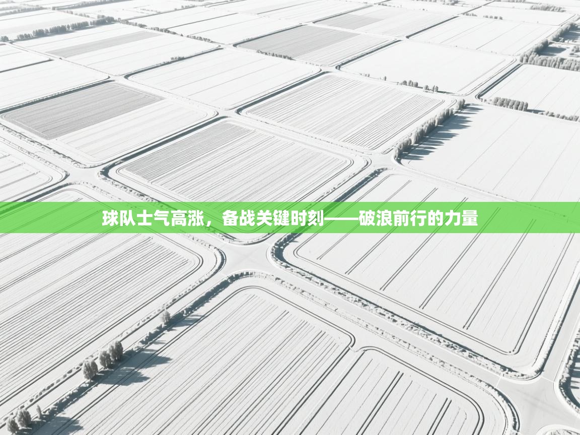 球队士气高涨，备战关键时刻——破浪前行的力量