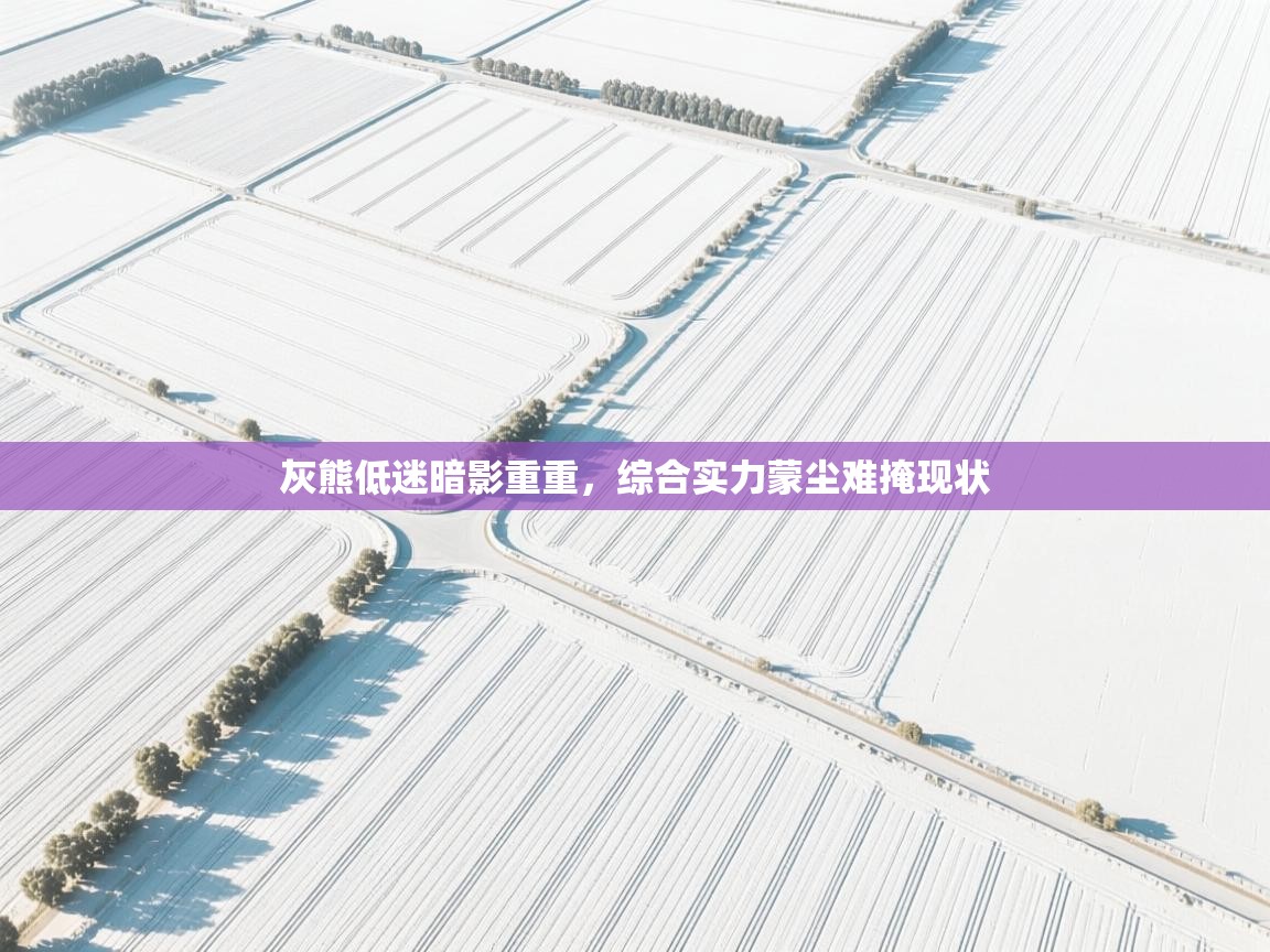 灰熊低迷暗影重重，综合实力蒙尘难掩现状  第1张