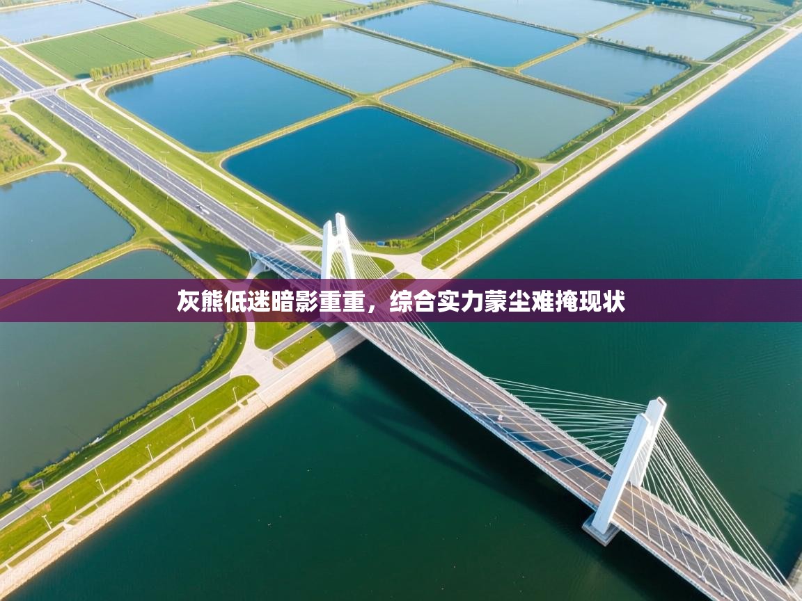 灰熊低迷暗影重重，综合实力蒙尘难掩现状  第2张